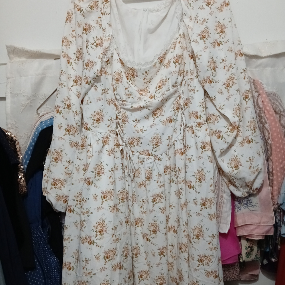 New Floral Long Sleeve Corset Dress Never Worn Brand New CIDER